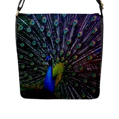 Peacock Colors Bird Colorful Flap Closure Messenger Bag (L)