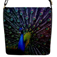 Peacock Colors Bird Colorful Flap Closure Messenger Bag (S)