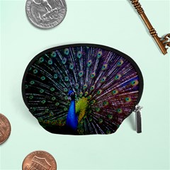 Peacock Colors Bird Colorful Accessory Pouch (Small)