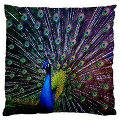 Peacock Colors Bird Colorful Standard Flano Cushion Case (Two Sides)