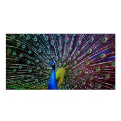 Peacock Colors Bird Colorful Satin Shawl