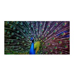 Peacock Colors Bird Colorful Satin Wrap