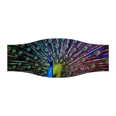 Peacock Colors Bird Colorful Stretchable Headband