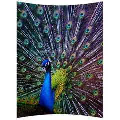 Peacock Colors Bird Colorful Back Support Cushion