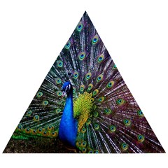 Peacock Colors Bird Colorful Wooden Puzzle Triangle