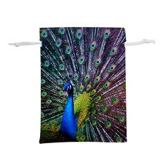 Peacock Colors Bird Colorful Lightweight Drawstring Pouch (L)