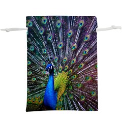 Peacock Colors Bird Colorful  Lightweight Drawstring Pouch (XL)