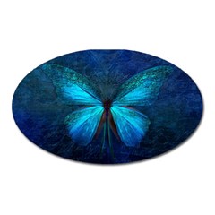 Animal Butterfly Insect Oval Magnet