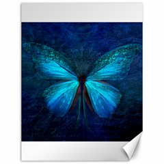 Animal Butterfly Insect Canvas 12  x 16 