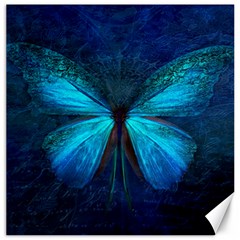 Animal Butterfly Insect Canvas 16  x 16 