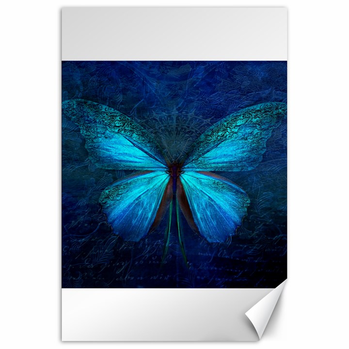 Animal Butterfly Insect Canvas 20  x 30 