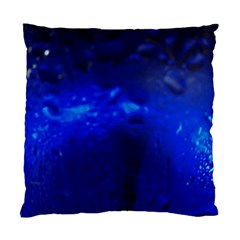 Img 20200106 165343295 Animation Standard Cushion Case (one Side) by ScottFreeArt