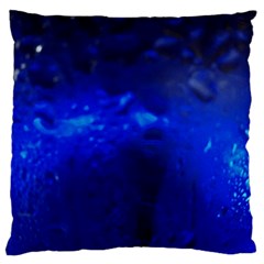 Img 20200106 165343295 Animation Standard Flano Cushion Case (two Sides) by ScottFreeArt