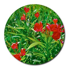 Red Flowers And Green Plants At Outdoor Garden Round Mousepads by dflcprintsclothing