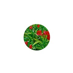 Red Flowers And Green Plants At Outdoor Garden 1  Mini Buttons by dflcprintsclothing