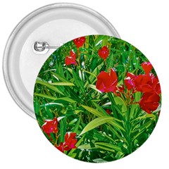 Red Flowers And Green Plants At Outdoor Garden 3  Buttons