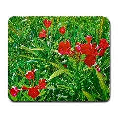 Red Flowers And Green Plants At Outdoor Garden Large Mousepads by dflcprintsclothing