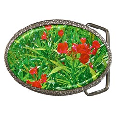 Red Flowers And Green Plants At Outdoor Garden Belt Buckles by dflcprintsclothing