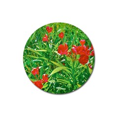 Red Flowers And Green Plants At Outdoor Garden Magnet 3  (round) by dflcprintsclothing