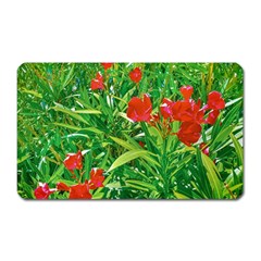 Red Flowers And Green Plants At Outdoor Garden Magnet (rectangular)