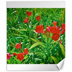 Red Flowers And Green Plants At Outdoor Garden Canvas 8  X 10 