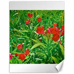 Red Flowers And Green Plants At Outdoor Garden Canvas 12  X 16 