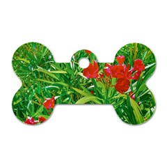 Red Flowers And Green Plants At Outdoor Garden Dog Tag Bone (one Side) by dflcprintsclothing