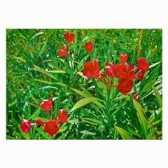 Red Flowers And Green Plants At Outdoor Garden Large Glasses Cloth (2 Sides)