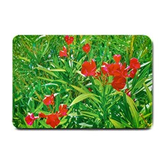 Red Flowers And Green Plants At Outdoor Garden Small Doormat 