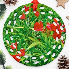 Red Flowers And Green Plants At Outdoor Garden Round Filigree Ornament (two Sides) by dflcprintsclothing