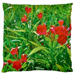 Red Flowers And Green Plants At Outdoor Garden Standard Flano Cushion Case (two Sides) by dflcprintsclothing