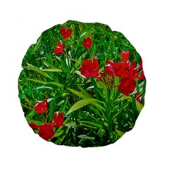 Red Flowers And Green Plants At Outdoor Garden Standard 15  Premium Flano Round Cushions