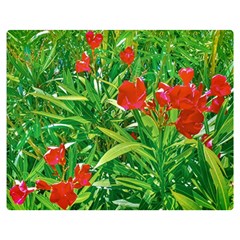 Red Flowers And Green Plants At Outdoor Garden Double Sided Flano Blanket (medium)  by dflcprintsclothing