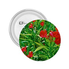 Red Flowers And Green Plants At Outdoor Garden 2 25  Buttons