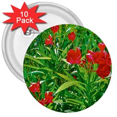 Red Flowers And Green Plants At Outdoor Garden 3  Buttons (10 Pack)  by dflcprintsclothing