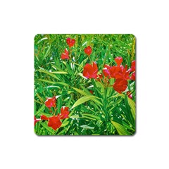 Red Flowers And Green Plants At Outdoor Garden Square Magnet by dflcprintsclothing