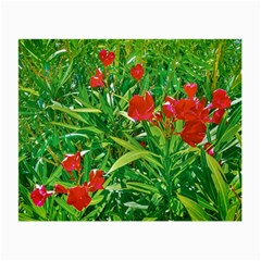 Red Flowers And Green Plants At Outdoor Garden Small Glasses Cloth by dflcprintsclothing