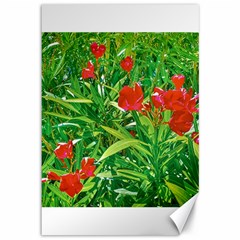 Red Flowers And Green Plants At Outdoor Garden Canvas 12  X 18 