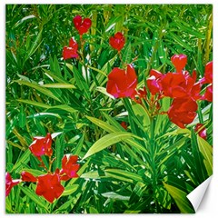 Red Flowers And Green Plants At Outdoor Garden Canvas 20  X 20 