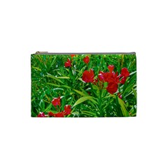 Red Flowers And Green Plants At Outdoor Garden Cosmetic Bag (small) by dflcprintsclothing