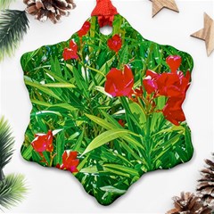 Red Flowers And Green Plants At Outdoor Garden Ornament (snowflake) by dflcprintsclothing