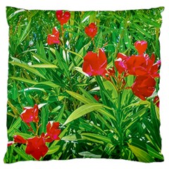 Red Flowers And Green Plants At Outdoor Garden Large Cushion Case (two Sides)