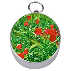 Red Flowers And Green Plants At Outdoor Garden Silver Compasses