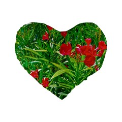 Red Flowers And Green Plants At Outdoor Garden Standard 16  Premium Flano Heart Shape Cushions