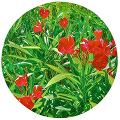 Red Flowers And Green Plants At Outdoor Garden Wooden Bottle Opener (round) by dflcprintsclothing