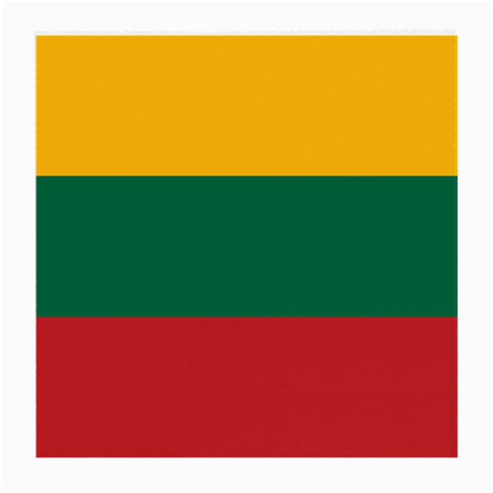 Lithuania Flag Medium Glasses Cloth