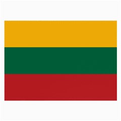 Lithuania Flag Large Glasses Cloth (2 Sides) by FlagGallery