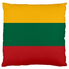 Lithuania Flag Large Cushion Case (two Sides) by FlagGallery