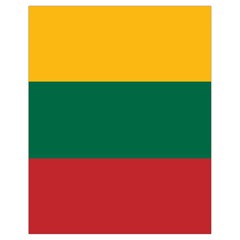 Lithuania Flag Drawstring Bag (small) by FlagGallery