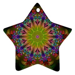 Fractal Abstract Background Pattern Ornament (Star)